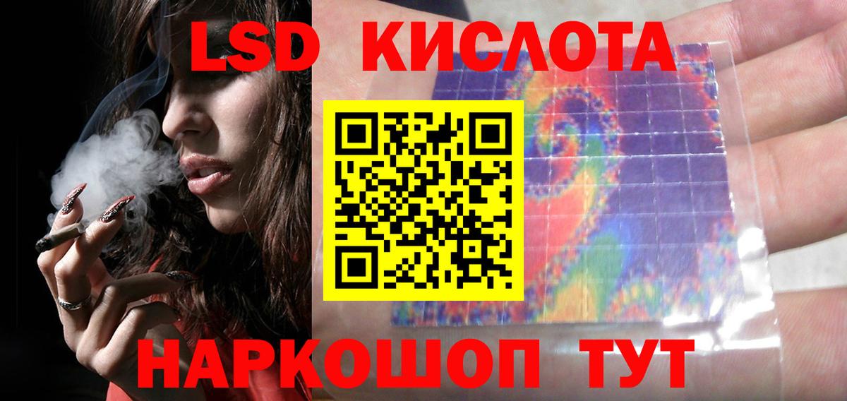 Галлюциногенные грибы Коркино